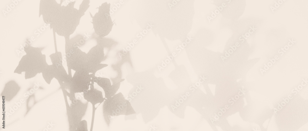 Beige Background Rose Flower Shadow Abstract Plant Texture Leaf Nature Light Overlay Tree Material Pastel Leaves Mockup Template Minimal Autumn Wall Floor Pattern Old Brown Color Canvas Summer. - obrazy, fototapety, plakaty 