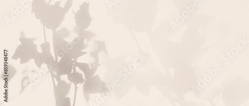 Fototapeta Naklejka Na Ścianę i Meble -  Beige Background Rose Flower Shadow Abstract Plant Texture Leaf Nature Light Overlay Tree Material Pastel Leaves Mockup Template Minimal Autumn Wall Floor Pattern Old Brown Color Canvas Summer.