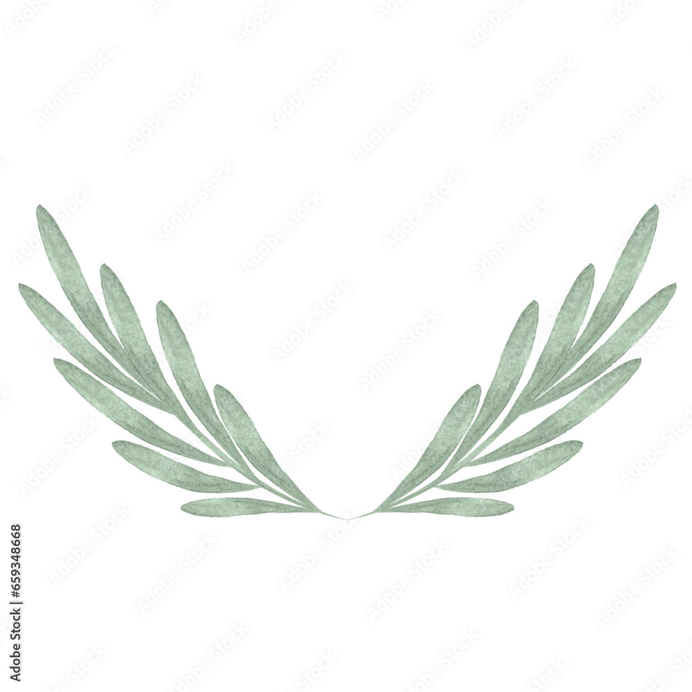 watercolor plant leaves herb wreath art drawn watercolor plant leaves herb wreath art drawn