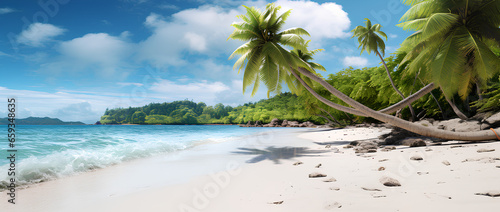 Piękna tropikalna wyspa z palmami i panorama plaży jako obraz tła
