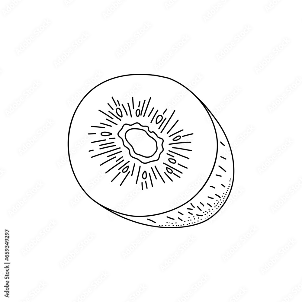 Kiwi hand drawn doodle by ink and pen sketch. Doodle kiwi fruit isolated on white background