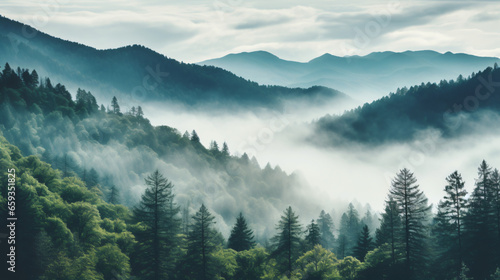 Smoky cloudy mountains trees earth © Fauzia