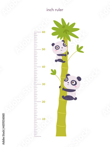 Kids height ruler in inches with palm and pandas for growth measure. Cute cartoon vector illustration isolated on white background. Children wall sticker for kindergarten or home