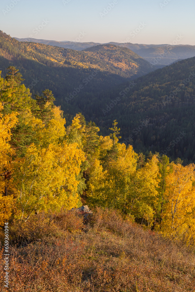 Autumn landscape with mountains covered with forest and trees with bright yellow foliage on a sunny day.