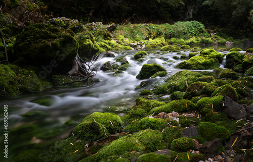 A cold mountain river flowing through a mystical green gorge. The stones are moss-covered