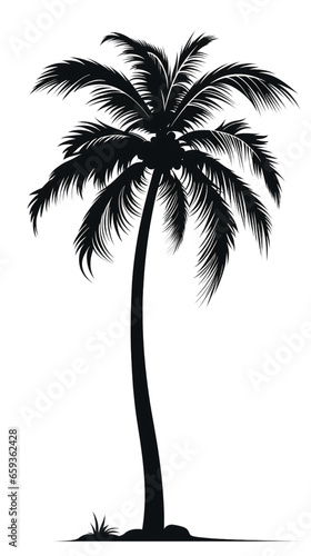 Tropical Palm Tree Silhouette Isolated on Transparent or White Background  PNG