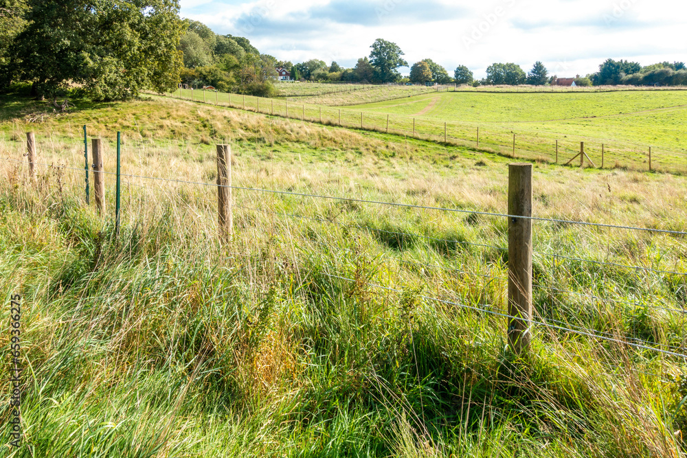 Wire fences with wooden posts criss cross the rural countryside scene