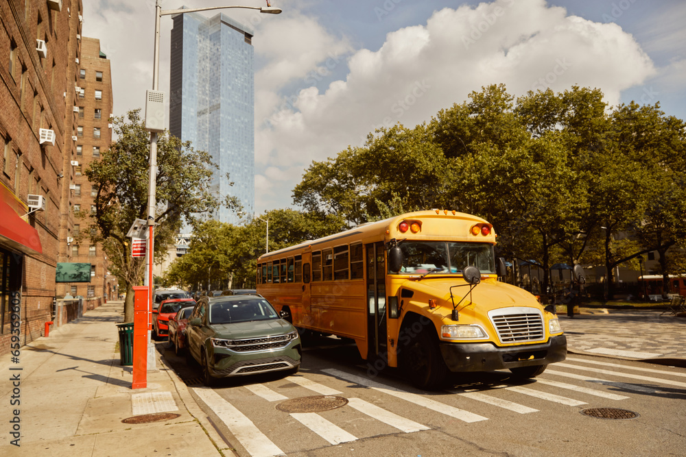 Fototapeta premium cars and yellow school bus on crosswalk near trees with fall foliage in new york city, autumn scene