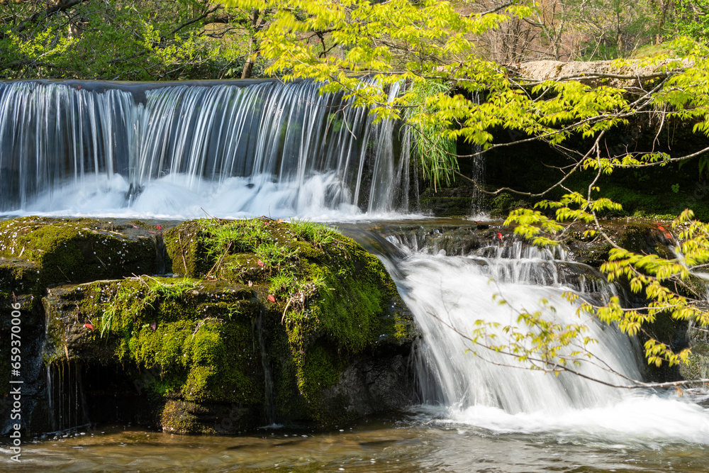 Obraz premium 新緑に包まれた峡谷の滝・宮島峡