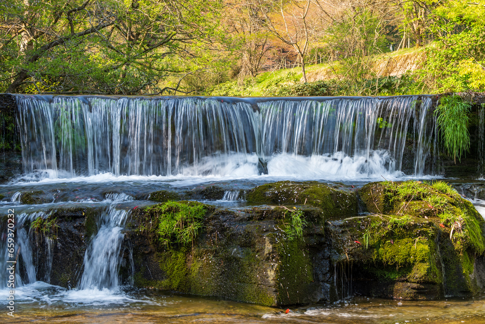 Obraz premium 新緑に包まれた峡谷の滝・宮島峡