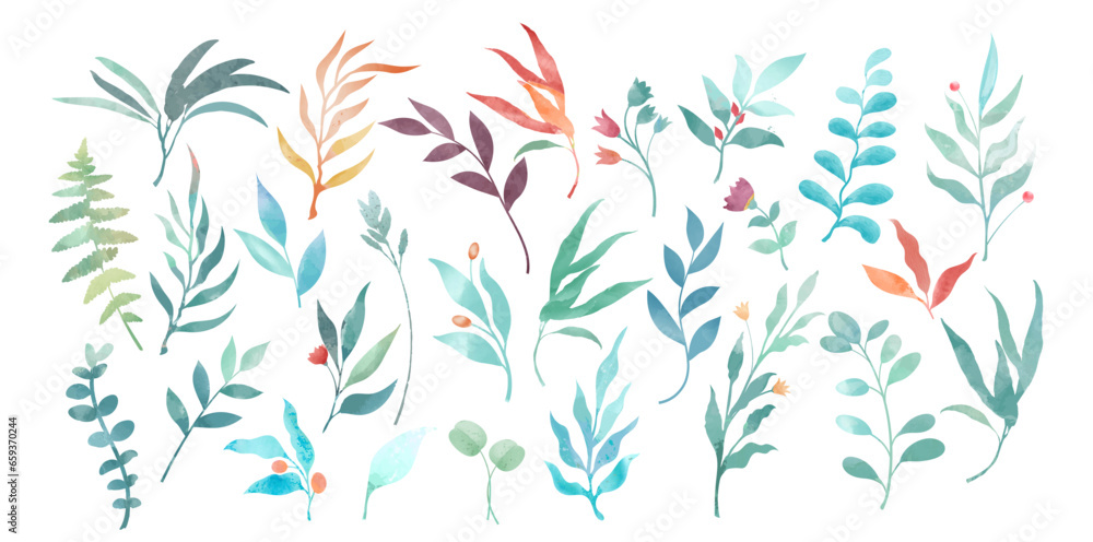 Sat of watercolor decorative floral elements