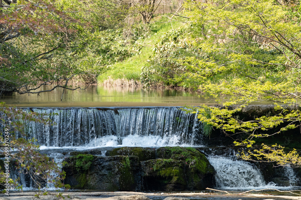 Obraz premium 新緑に包まれた峡谷の滝・宮島峡