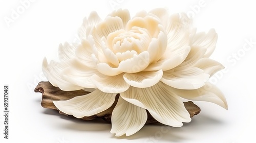 Peony soap stone sculpture. Isolated against a white background. © Nazia