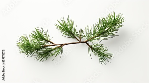A beautiful image showing two branches of a pine tree on a white background  ideal for nature and Christmas. Generative AI