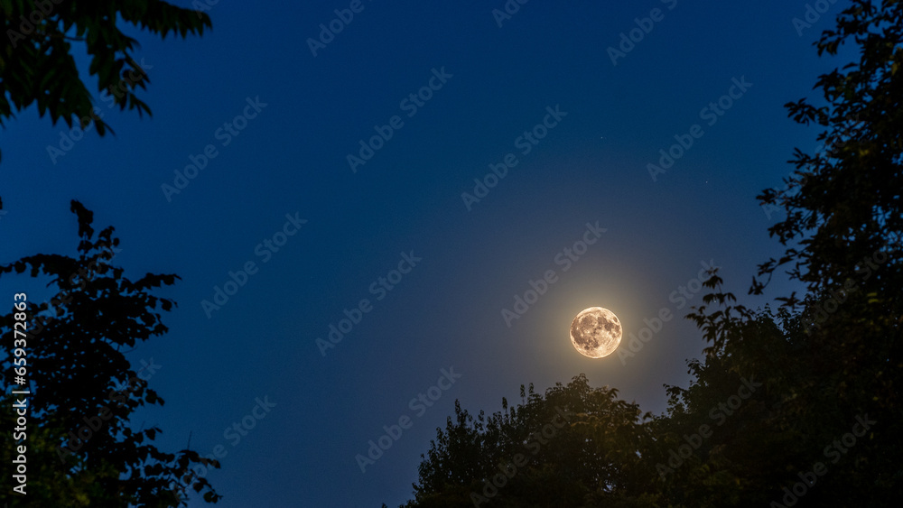 Yellow moon during blue hour Yellow moon during blue hour