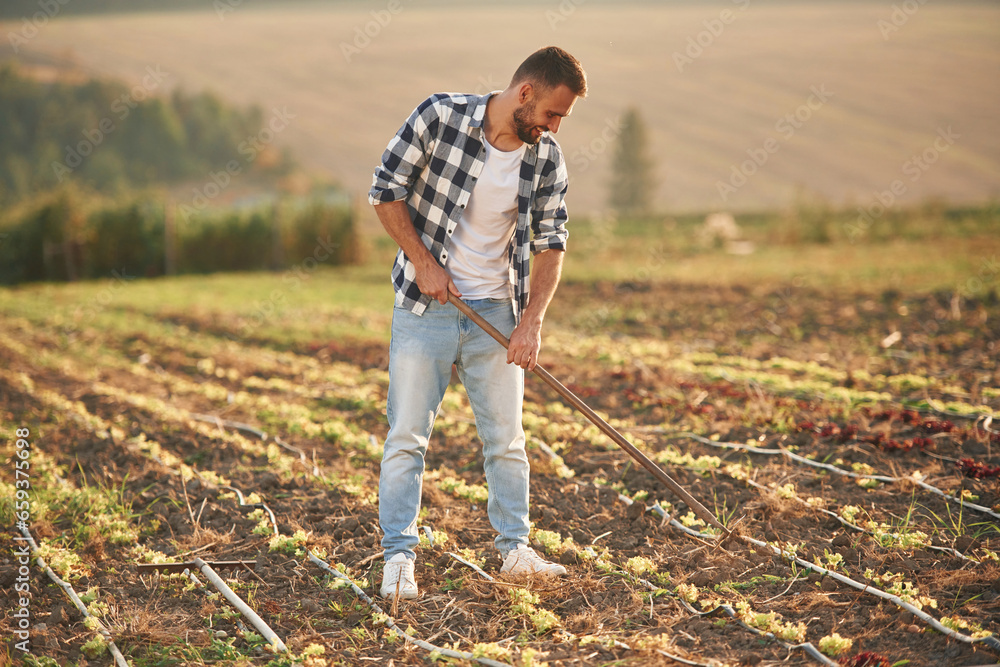 Holding the hoe. Man is on the agricultural field, conception of work and harvest Holding the hoe. Man is on the agricultural field, conception of work and harvest