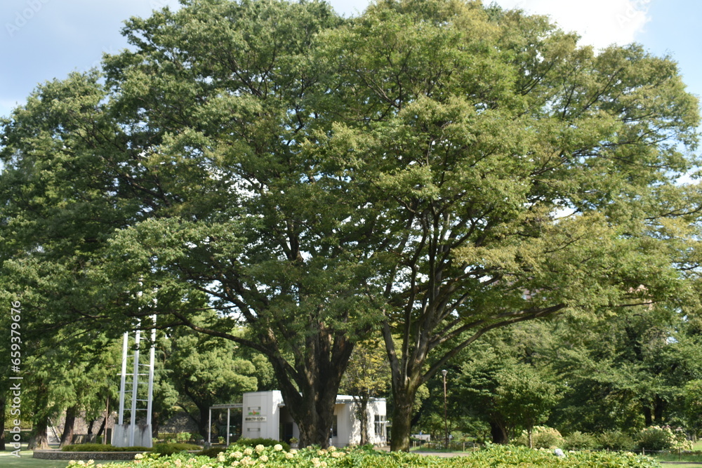 前橋公園 周辺の風景 前橋公園 周辺の風景