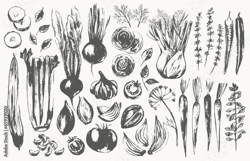 Hand drawn ink sketch of vegetables