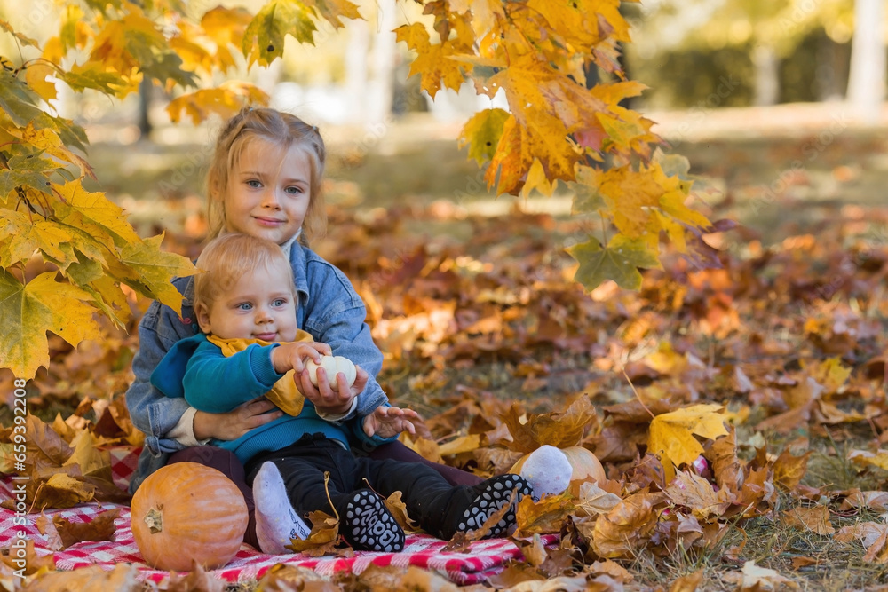 Portrait of a little boy 9 months old and a girl 4 years old outdoors. Happy children in the autumn park with pumpkins. Happy childhood and fatherhood. Portrait of a little boy 9 months old and a girl 4 years old outdoors. Happy children in the autumn park with pumpkins. Happy childhood and fatherhood.