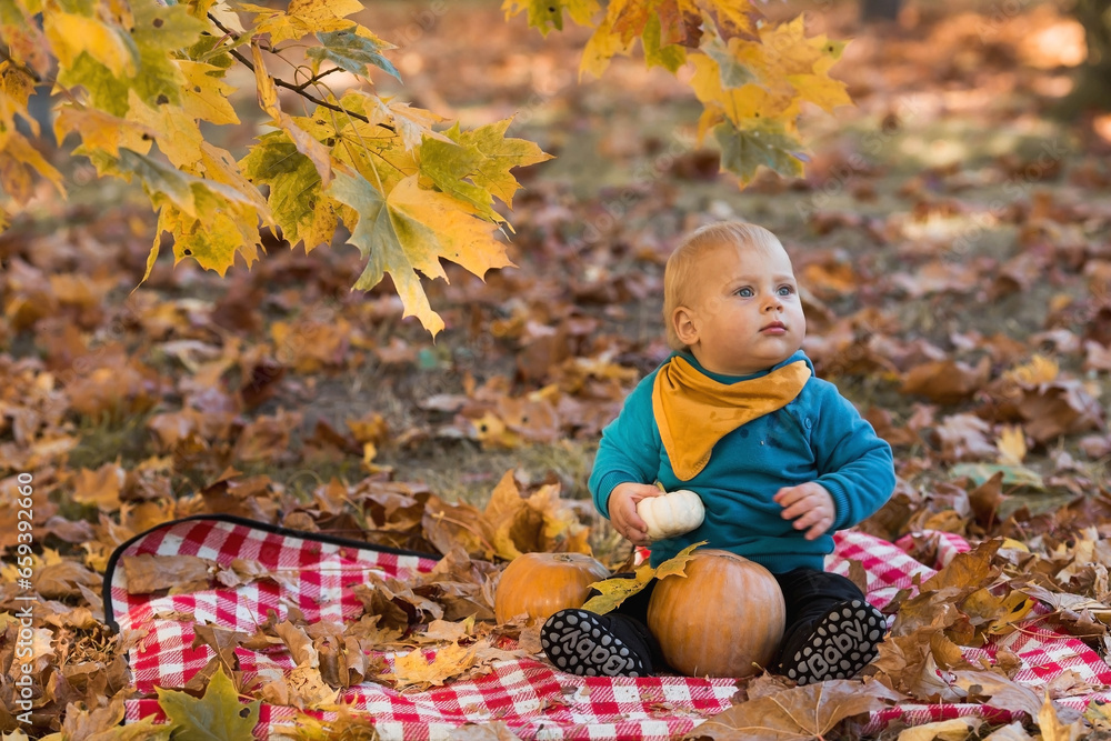 Portrait of a little boy 9 months old in the open air. A happy child in an autumn park with pumpkins. Happy childhood and fatherhood. Portrait of a little boy 9 months old in the open air. A happy child in an autumn park with pumpkins. Happy childhood and fatherhood.