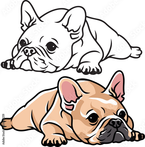 French bulldog