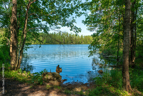 Beautiful summer view from a small lake in a lush green forest in Sweden