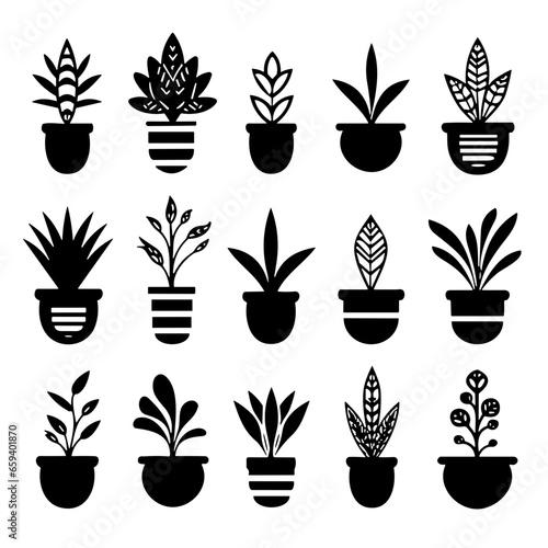 Set of plants in pots, Succulent Plant Silhouette, Succulent Plant Line Art