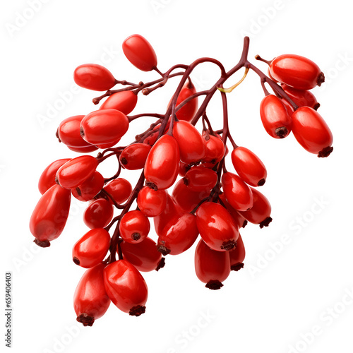 Barberries isolated on transparent background