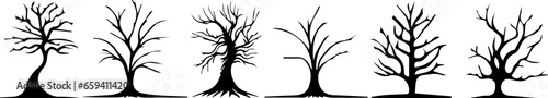 Silhouette of a dead tree in black and white. Set of trees with leafless and dry branches. Autumn tree vector