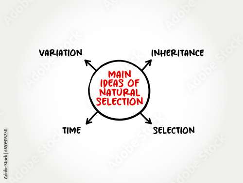 Main ideas of natural selection (differential survival and reproduction of individuals due to differences in phenotype) mind map text concept background