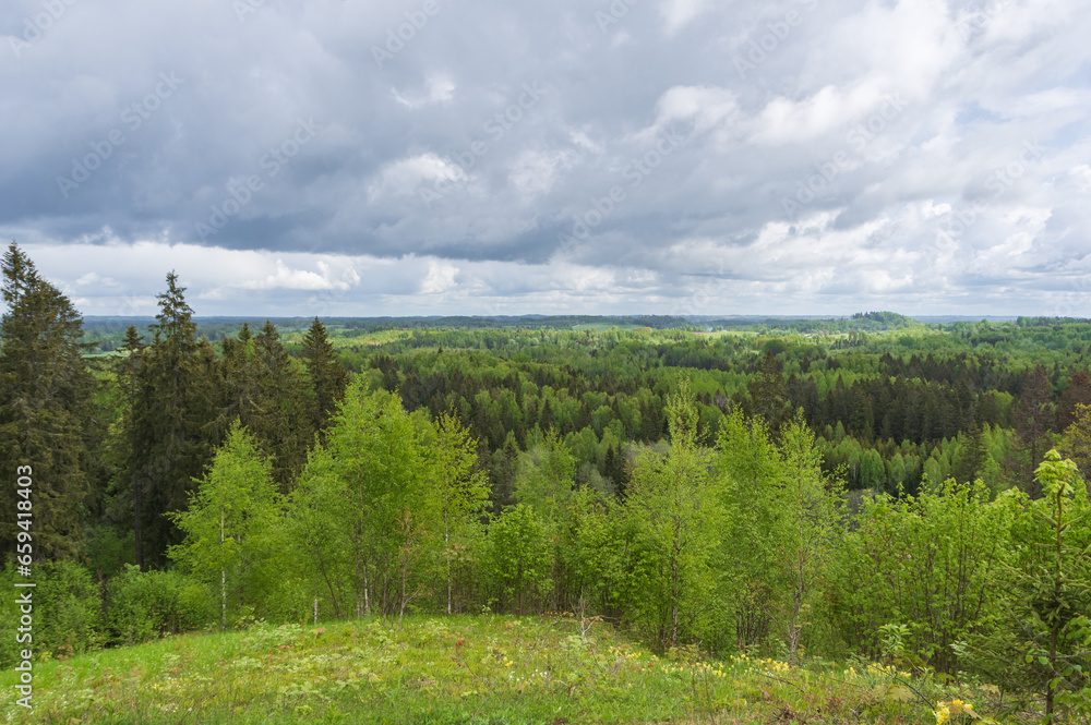 View from top of the hill to forests, hills, valleys and meadows on cloudy spring day
View from top of the hill to forests, hills, valleys and meadows on cloudy spring day