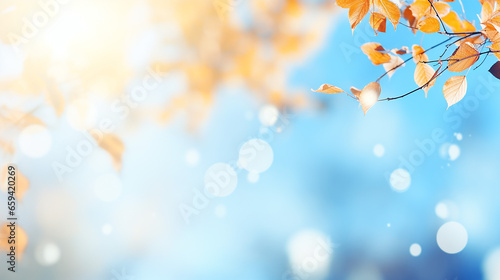 autumn bokeh background with branches and leaves