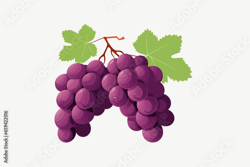 Grape vector flat minimalistic asset isolated vector style illustration