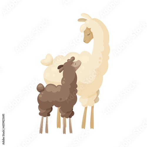 Cute llama family, curly llama mom with baby. Animal parent and its baby. Vector illustration, poster design, decorative illustration, baby and mother, mothers day, baby shower cards, happy alpacas