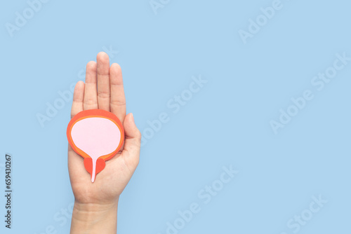 Photos Hand holding bladder and prostate gland made from paper on blue background