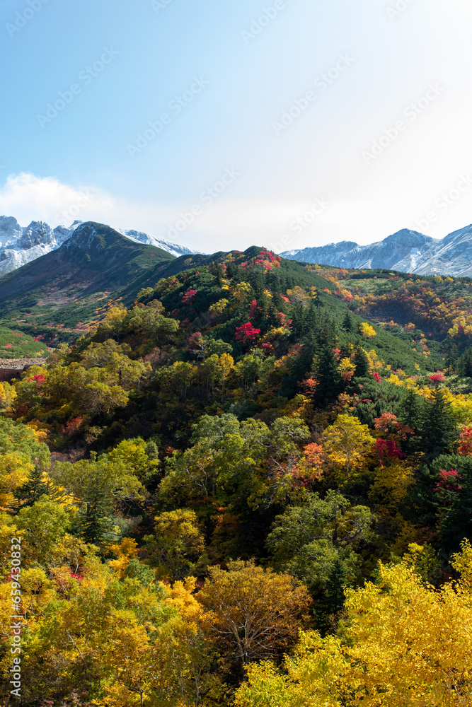 Fototapeta premium 北海道 十勝岳連峰の紅葉