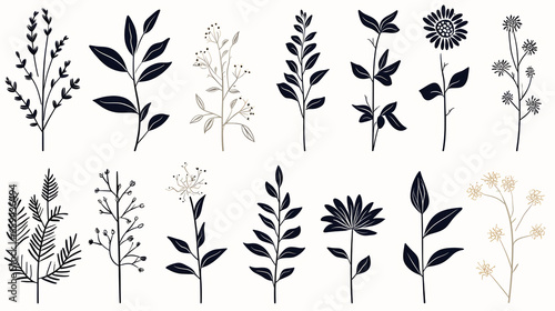 Decorative silhouettes of elegant leaves and flowers