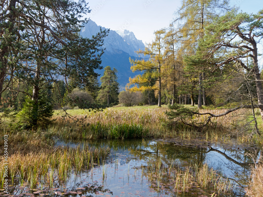 Obraz premium Biotop am Kramerplateauweg oberhalb von Garmisch-Partenkirchen in den bayerischen Alpen