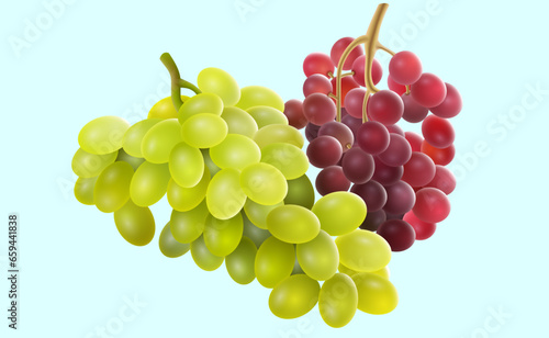 Bunches of ripe grapes. Vector illustration. Sketch for creativity.