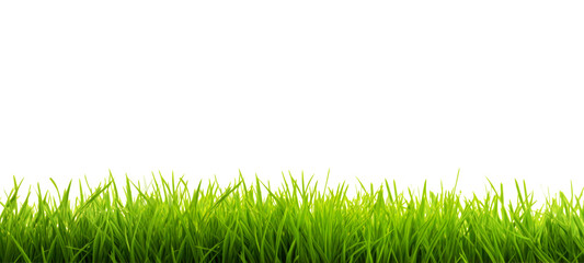 Fresh green grass field isolated on transparent  background for montage product display, Png files
