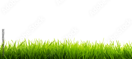 Fresh green grass field isolated on transparent background for montage product display, Png files