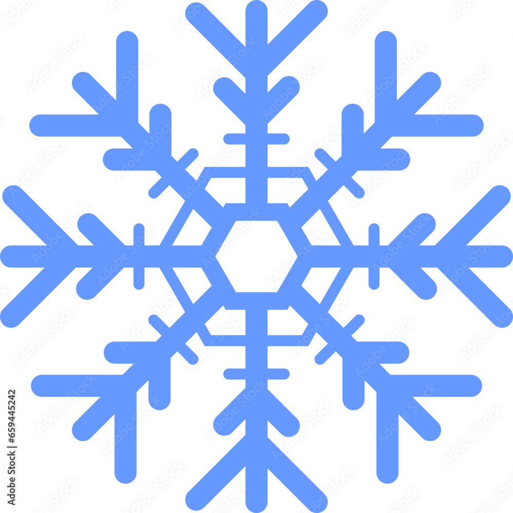 Winter Snowflake Icon