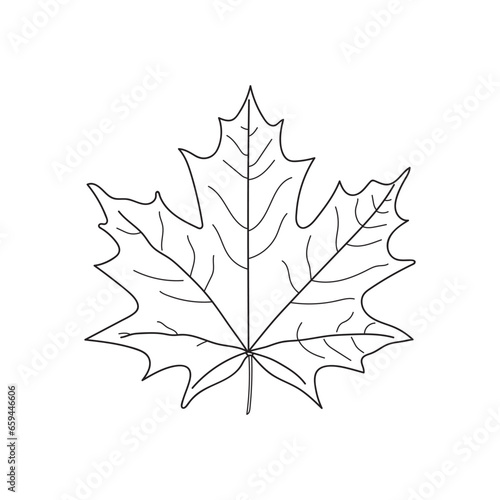 Hand drawn Kids drawing Cartoon Vector illustration maple leaf Isolated on White Background