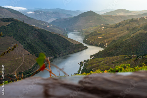 Viewpoint view of terraced vineyards at romantic in Douro valley near Pinhao village, heritage of humanity