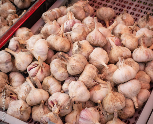 Natural-looking vegetables in a supermarket - garlic.