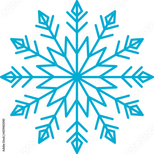 Winter Snowflake Icon