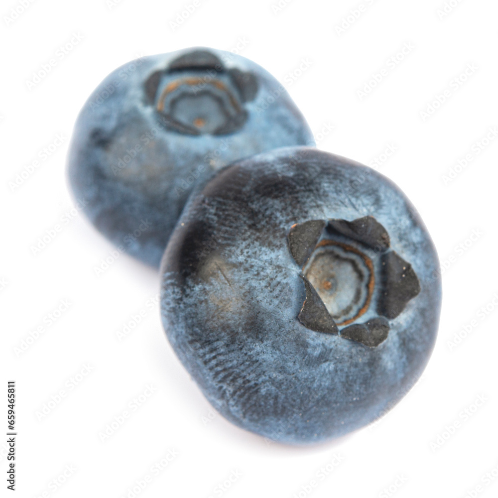 Blueberry isolated. Blueberry on white background. Bilberry. Clipping path. Blueberry isolated. Blueberry on white background. Bilberry. Clipping path.