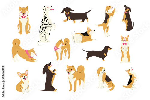 Big set with cute different dog breeds, corgi, beagle, shiba inu, dachshund, dalmatian. Isolated vector illustration in flat design