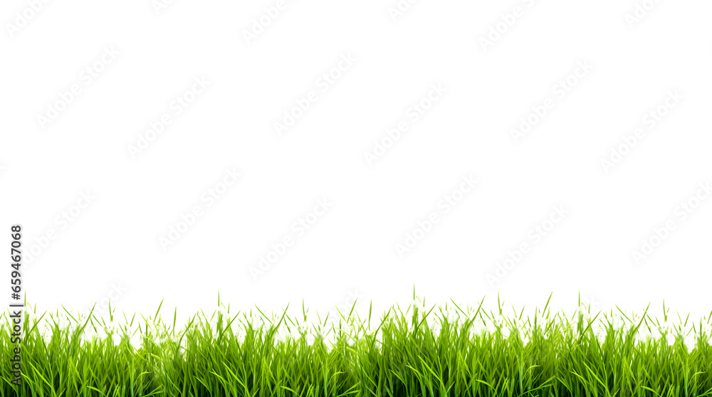 Grass on the ground, isolated on white background, Generative Ai Grass on the ground, isolated on white background, Generative Ai