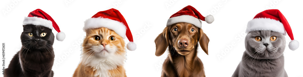 Set of Christmas dogs and cats with Santa Claus hats for pet shop ...